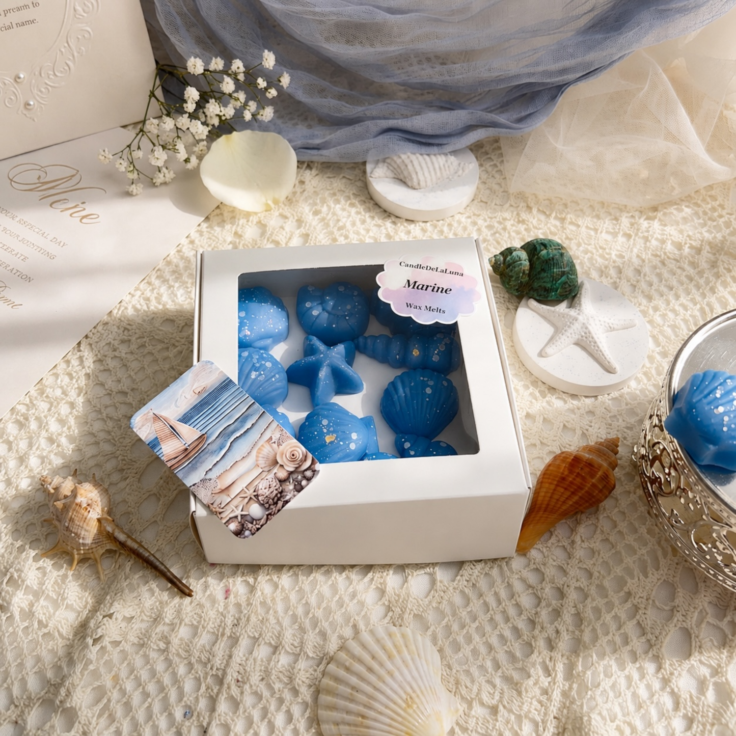 Duftwachs in Muschelform aus Sojawachs – Maritime Wax Melts mit Meeresduft für Duftlampe, sommerliches Geschenkset